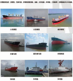 華洋船舶管理 為全球船東提供卓越的國(guó)際船舶管理服務(wù)